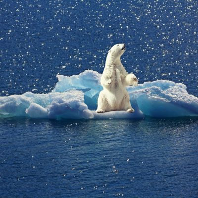 Klimawandel-Desinformation durch IPCC und Medien – Eine kritische Dokumentation...