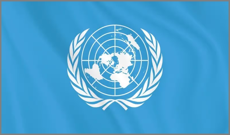 Die Vereinten Nationen – die WHO und “Pandemien”…